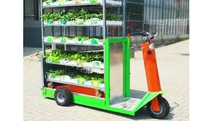 ecogreen-italia-speedy-carros-vivero|ecogreen-italia-speedy-carros-vivero|ecogreen-italia-speedy-carros-vivero